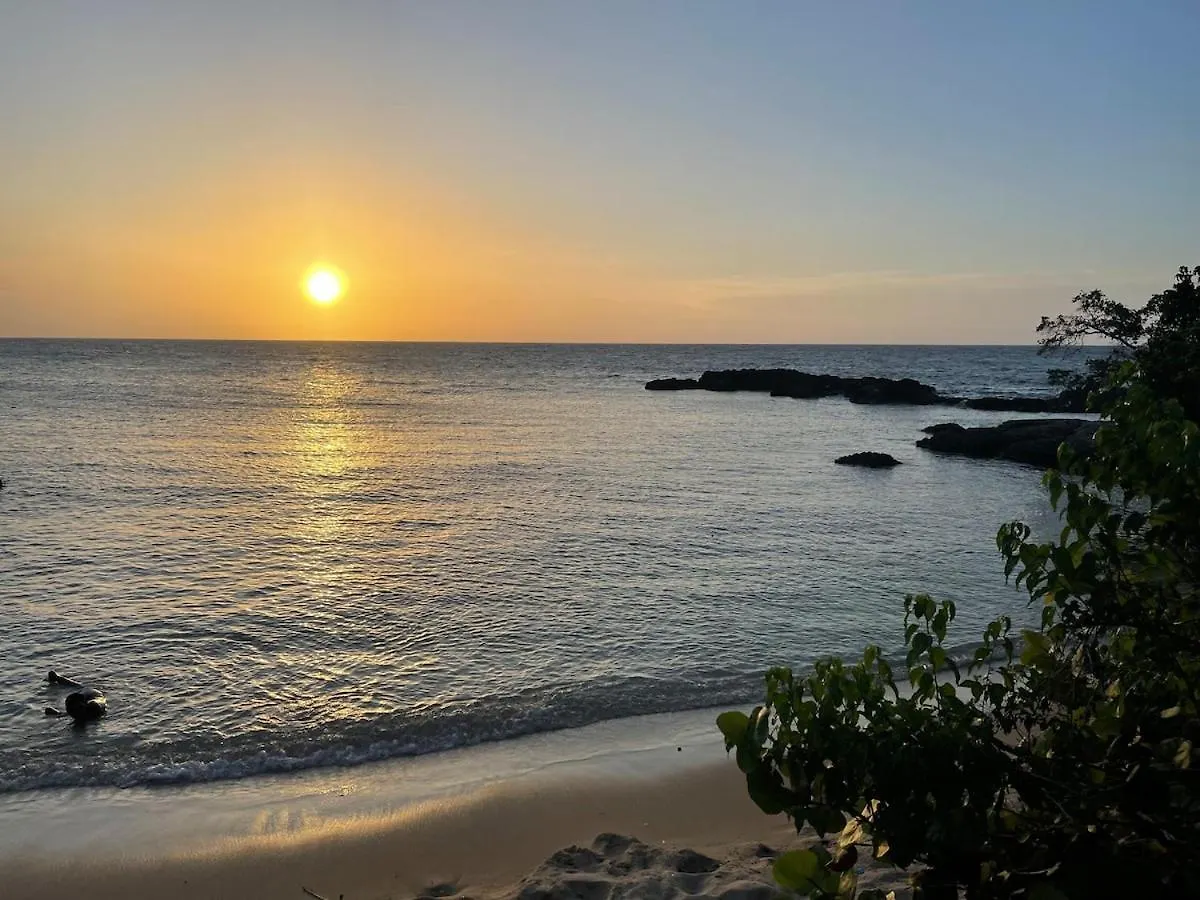 Royal Oasis Villa Lucea Semesterbostad